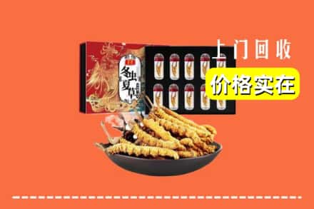 高平市回收冬虫夏草